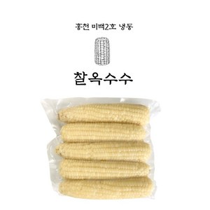 냉동옥수수 찰옥수수 강원도 삶은 찐옥수수, 10개