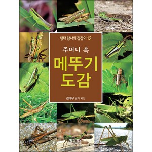 [황소걸음]주머니 속 메뚜기 도감 - 생태 탐사의 길잡이 12, 황소걸음, 김태우