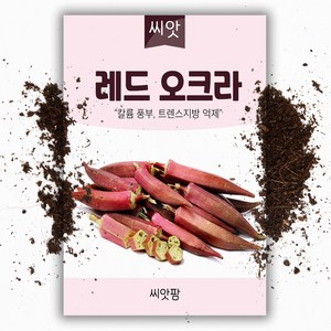 레드 오크라씨앗 (150립), 1개