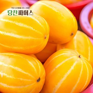 [당찬파머스] 경북 성주 아삭달콤 꿀참외 꼬마 로얄과 가정용 못난이, 1개, 참외 / 꼬마(소과) / 3kg / 15~20입