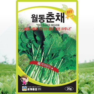 [모종심는아빠] 맛이 고소하고 부드러워 봄나물로 좋은 월동춘채 종자 20g, 1개