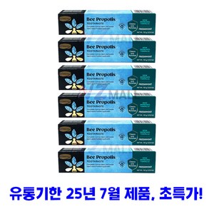 호주 정품 콤비타 프로폴리스 치약 100g 6팩 리뉴얼 후레쉬민트 Feshmint, 6개, 100ml