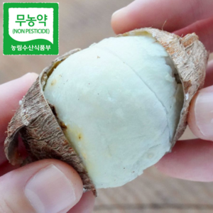 {산지직송] 무농약 곡성토란 햇토란 깐토란, 1박스, 깐토란 1kg