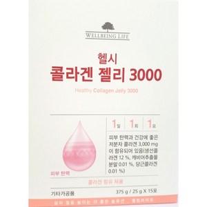 웰빙라이프 헬시 콜라겐 스틱 3000/25gx15포/N, 1개, 25g