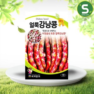 솔림텃밭몰 강낭콩씨앗 30g 얼룩이강낭콩 콩씨앗 콩종자 비덩굴성, 1개