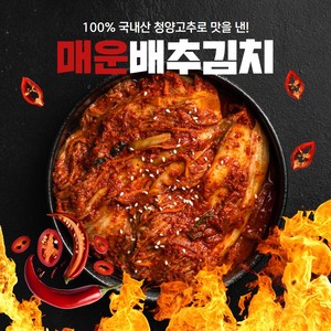 경자네 국내산 전라도 청양 실비 매운 배추 포기김치, 1개, 1kg