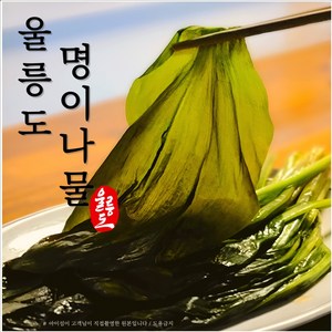 아이섬 울릉도산 명이나물 명이절임 명이장아찌 명이지 명의나물 반찬 아이섬 업소용 대용량 손녀명이나물, 1kg [ 명이나물 + 명이절임소스 + 용기], 1kg, 1개