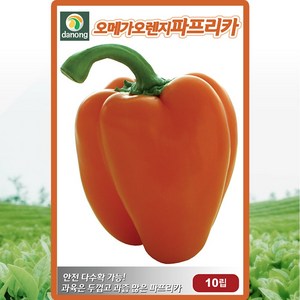 오메가 오렌지파프리카씨앗 10립 파프리카씨, 1개