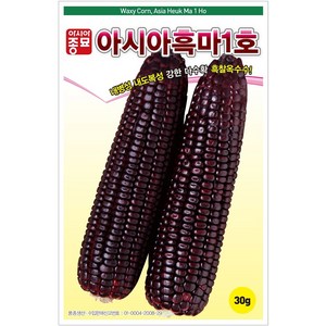 [모종심는아빠] 식용 가공용으로 좋은 검고 찰진 옥수수 아시아흑마1호 씨앗 30g, 1개