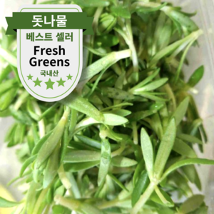 [당일수확] 국내산 돌나물 싱싱한 돈나물 돗나물, 1박스, 1kg