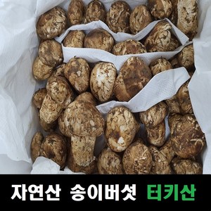 송이버섯 자연산 냉동송이버섯 터키산, 조각, 조각 500g, 1개