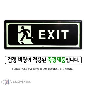 피난구 축광 표지판(EXIT) 비상구유도표지 SMP-09-1 일반형 자체검사품, 1개, 혼합색상