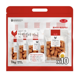 바우와우 애견용 단백질바 100g X 10개입 베이컨맛 애견 간식, 10개