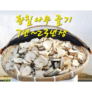 황칠나무 건조 약재(뿌리. 줄기 잎 이파리), 뿌리, 1kg, 1개