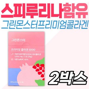 그린몬스터 프리미엄 콜라겐5000, 2개, 300g