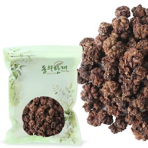 동의한재 국산 개다래 열매 충영 목천료, 100g, 1개