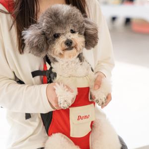 고냥냥 강아지 고양이 포대기 이동가방, 빨강, 1개