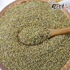 힘찬농부오달봉 국산 청차조, 1개, 500g