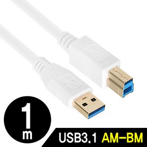 강원전자 넷메이트 NM-UB310Z USB A-B 케이블 (USB 3.1 1M 화이트), 1개