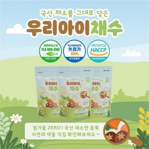 우리아이채수 국내산 채소 원물 그대로 만든 채수팩, 3개, 40g