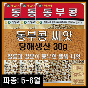 국산 동부콩씨앗 30g- 5 6월 파종, 1개