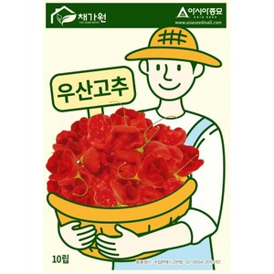 아시아종묘 씨앗 고추 우산고추 10립, 1개