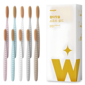 왕타 소프트골드 칫솔, 10개입, 1개