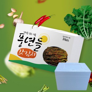 알싸하고 톡쏘는 맛있는 풍년들 갓김치 아이스박스, 10kg, 1박스