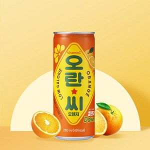 오란씨 오렌지 탄산음료, 30개, 250ml