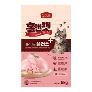 [대한사료] 홈앤캣 올라이프 5kg / 고양이사료 / 길냥이사료, 1개