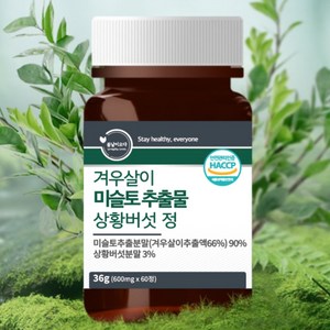 100% 국내산 참나무 미슬토 추출물 겨우살이 상황버섯 식약처 HACCP 인증, 60정, 2개