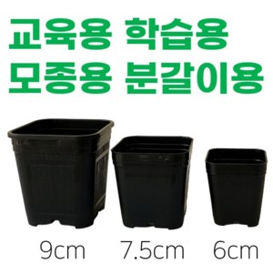 <국내생산> 삽목화분 플분 사각화분 6cm 7.5cm 9cm 10개 1세트