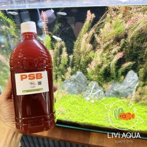 리비아쿠아 PSB 1L 고농축 박테리아제 어항 수질정화 백탁제거 물갈이, 1개