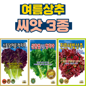 여름상추씨앗 3개 쌈채소 적상추 청상추 꽃상추 씨앗 씨 종자