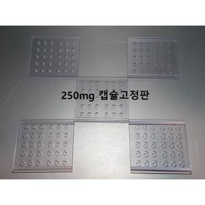 알약만들기 250mg 캡슐고정판(30홀), 1개