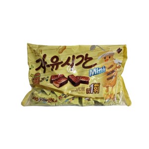 자유시간 미니 초콜릿, 500g, 1개