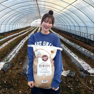 [토본식]저속노화 혈당관리엔 국산 현미 상등급, 3kg, 1개