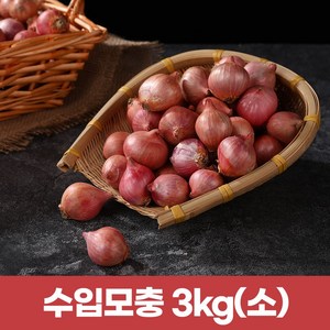 2025햇샬롯 모충 살롯3kg (작은사이즈), 3kg, 1개