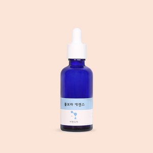 바랑소리 물보라에센스, 1개, 50ml