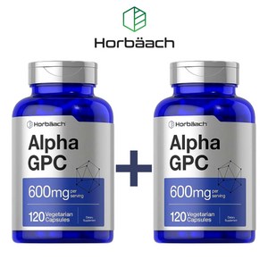 호바흐 알파 GPC 600mg 120캡슐 2통 콜린알포세레이트, 2개, 120정