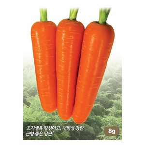 당근씨앗 8g/신흑전5촌당근씨앗/초기 생육이 왕성한 다수확품종, 1개