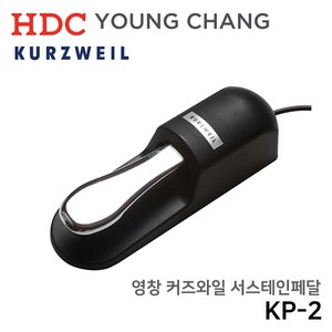 KURZWEIL KP-2, 1개