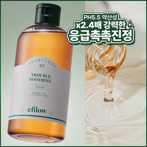 에필로우 어성초 80 시카 히알루로닉 트러블 수딩 약산성 비건 토너 300ml, 2개