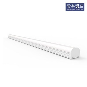 장수램프 LED 주차장등 DC타입 40W 1200mm, 주광색10개