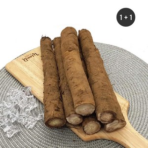 [초록한입] 국내산 유기농 우엉 500g (1+1/총1kg), 1개, 쿠팡 본상품선택