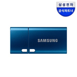 삼성전자 Flash Dive Type C USB 메모리 MUF-64DA/APC, 64GB