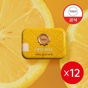 콤파스 민트 레몬 슈가프리 캔디 인텐스 20g x 12개, 없음