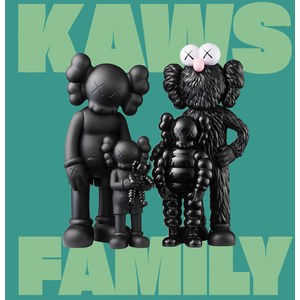 (영문도서) Kaws: Family Hadcove, Delmonico Books, English, 9781636811093