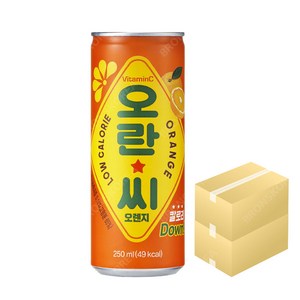 동아오츠카 오란씨 오렌지 250ml X 60캔 음료수 탄산 저칼로리 비타민C