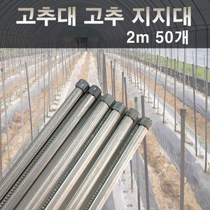 에스앤자재 고추대 2M (50개) 고추지지대 식물지주대 고추말뚝, 50개